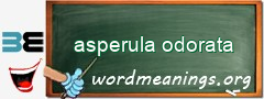 WordMeaning blackboard for asperula odorata